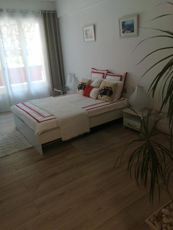 5 Minute De La Promenade Appartement Nice